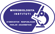 risunok1